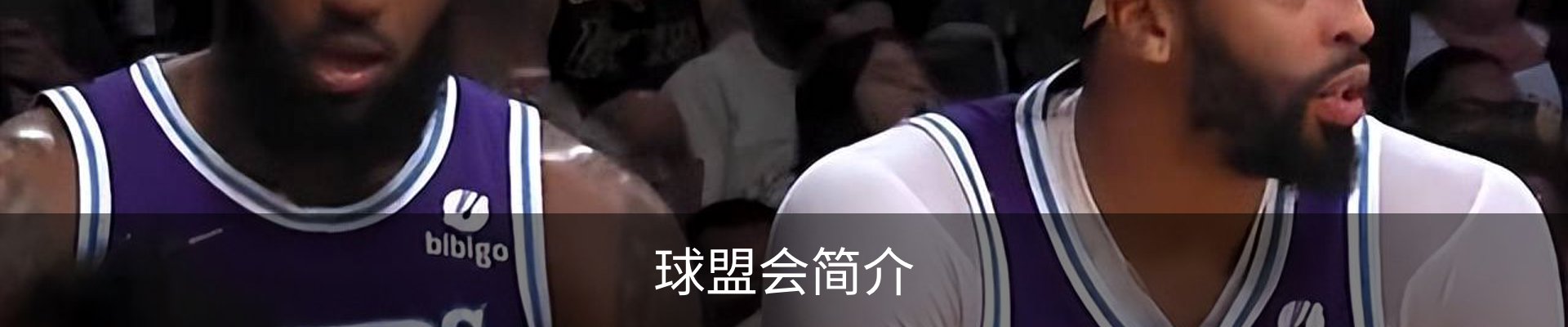 球盟会简介
